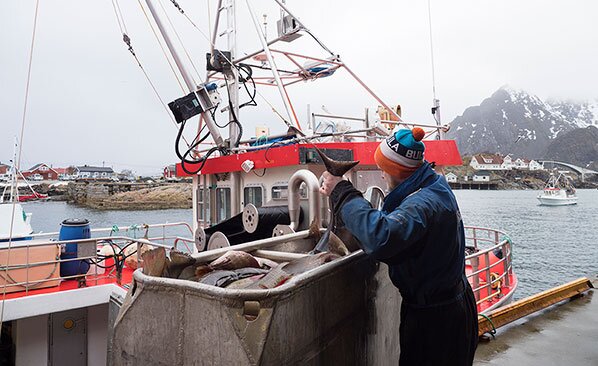 Asle Jorgensen offloading his catch